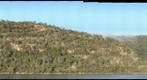 Sydney Sandstone Wall