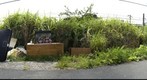 Hinaningyo (Hinan-Doll) in outdoor - 02