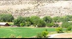 Canyon of the Ancients Guest Ranch