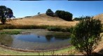 Pond - right view