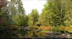 Baker Stream