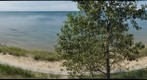 Near South Haven, MI - Autofocus