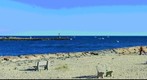 Shinnecok lnlet,Hampton bays,NEW York