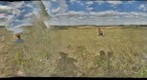 Field