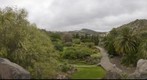 Palmeral en el Jardin Botanico Viera y Clavijo. Isla de Gran Canaria