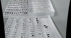 Insect collection