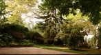 My backyard--the real thing