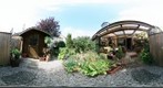 our garden II