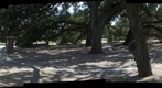 Elizabeth Baldwin Park: Best Scenic Park in Houston Says Houston Press - a 360-Degree Panorama