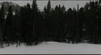 Nymph Lake 2, Rocky Mountain National Park,Colorado