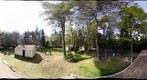 Timberlost