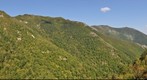 Reserva Natural Integral de Muniellos