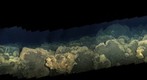 dive17_clip5_mos1