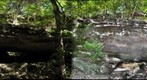 trotter natural bridge   missouri