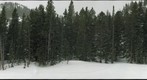 Nymph Lake 2, Adjusted, Rocky Mountain National Park, Colorado