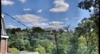 Phipps from Panther Hollow
