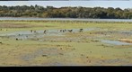 River Spot