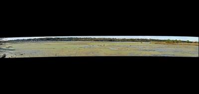 33980-400x189