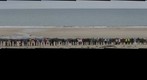 A Line in the Sand