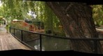 Tracy Aviary Pelican Pond 360