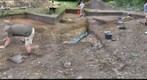 Trench 51 (SRP)