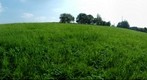 Zelezny Brod