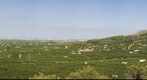 La Murta valley