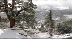 Sierra Snow - Sonora Pass