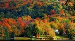 Autumn 2009 (2) - Lakeshore