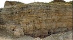 Triassic limestone, Zyglin, Poland