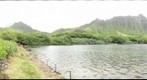 Moli'i