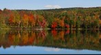 Autumn 2009 (4)