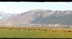 Bridgeport California Range