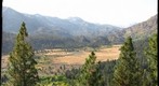 Leavitt Meadow Overlook
