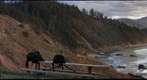 Photography class at Ecola State Park