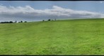 Durrington Walls centre (SRP)