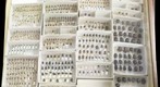 NCSU Insect Museum (1st Attempt)