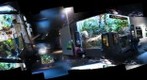 Pittsburgh Aquarium: Asian Island Streams