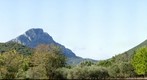 Pic Saint Loup 2