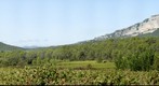 Pic Saint Loup 3