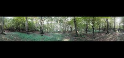 34573-400x189