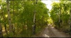 Aspen Road