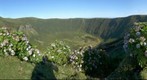 Caldeira, Faial (Azores, Portugal)