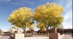 Santa Fe Community College Courtyard, Fall 2007