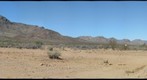 Arizona Sky Village