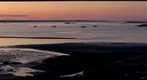 Dawn Pocologan New Brunswick