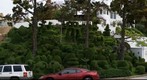 Fantastic Topiary Hill in San Diego