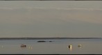 Evenning Pocologan, New Brunswick
