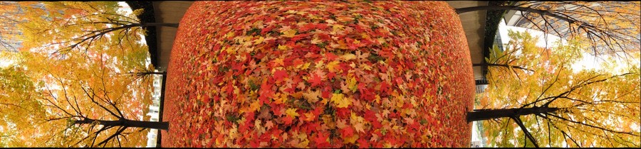 34878-900x210