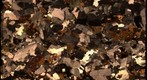 Tonalite of Bear Valley Springs (Crossed Polars)